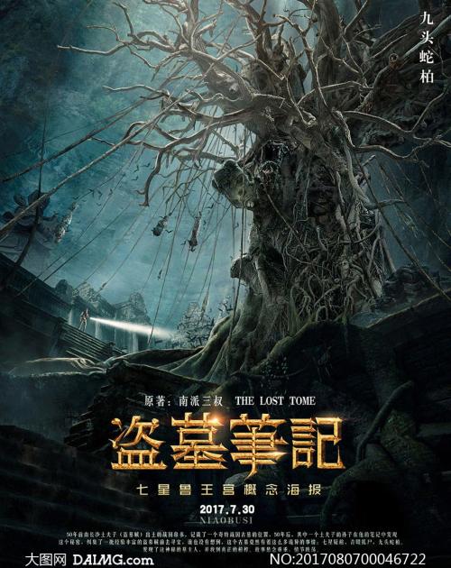 格罗宁根大学国际商务文凭证书